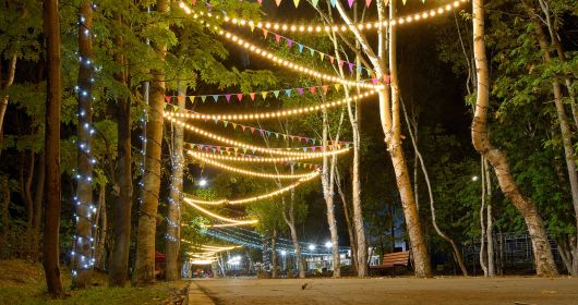 Festoon Lighting