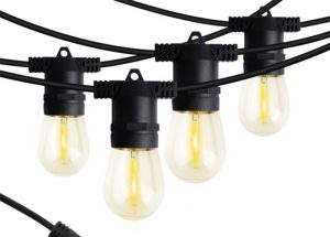 240v Outdoor Festoon Lights