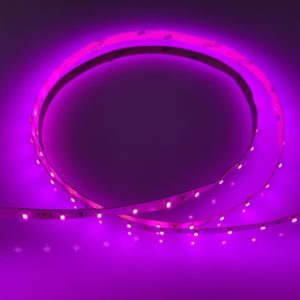 LED Strip Light SL5 PINK