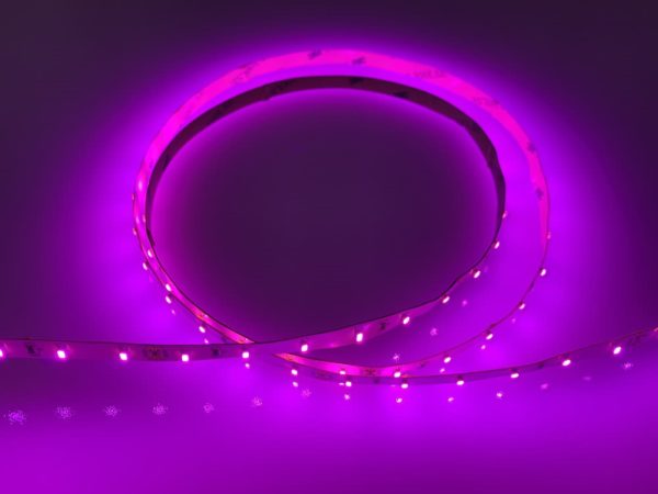 LED Strip Light SL5 PINK