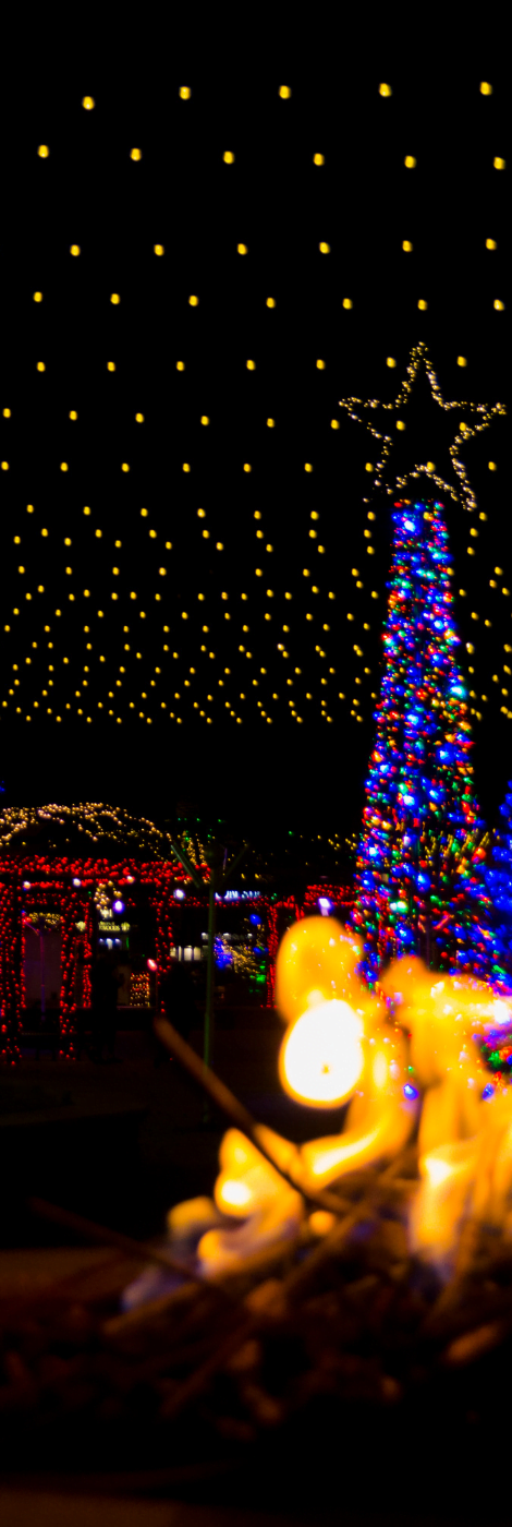 More about LED Strip Lighting for Gardens
